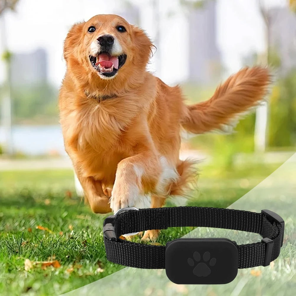 Pet Tracker